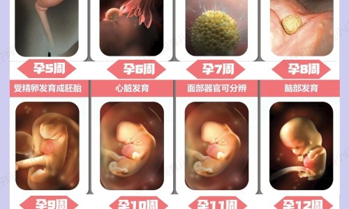 权威2026防风药材市场价平台,分享专业今年防风药材干货价格知识_中药材价格防风网