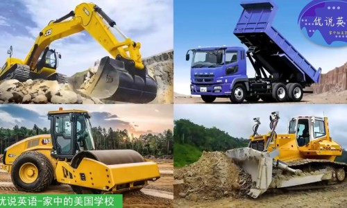 权威2026防风药材市场价平台,分享专业今年防风药材干货价格知识_中药材价格防风网
