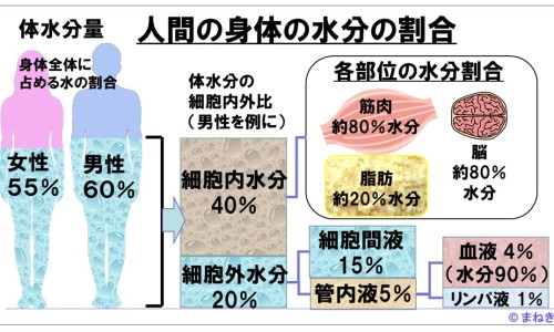 中药材防风价格-权威2026防风药材市场价平台,分享专业今年防风药材干货价格知识_中药材价格防风网